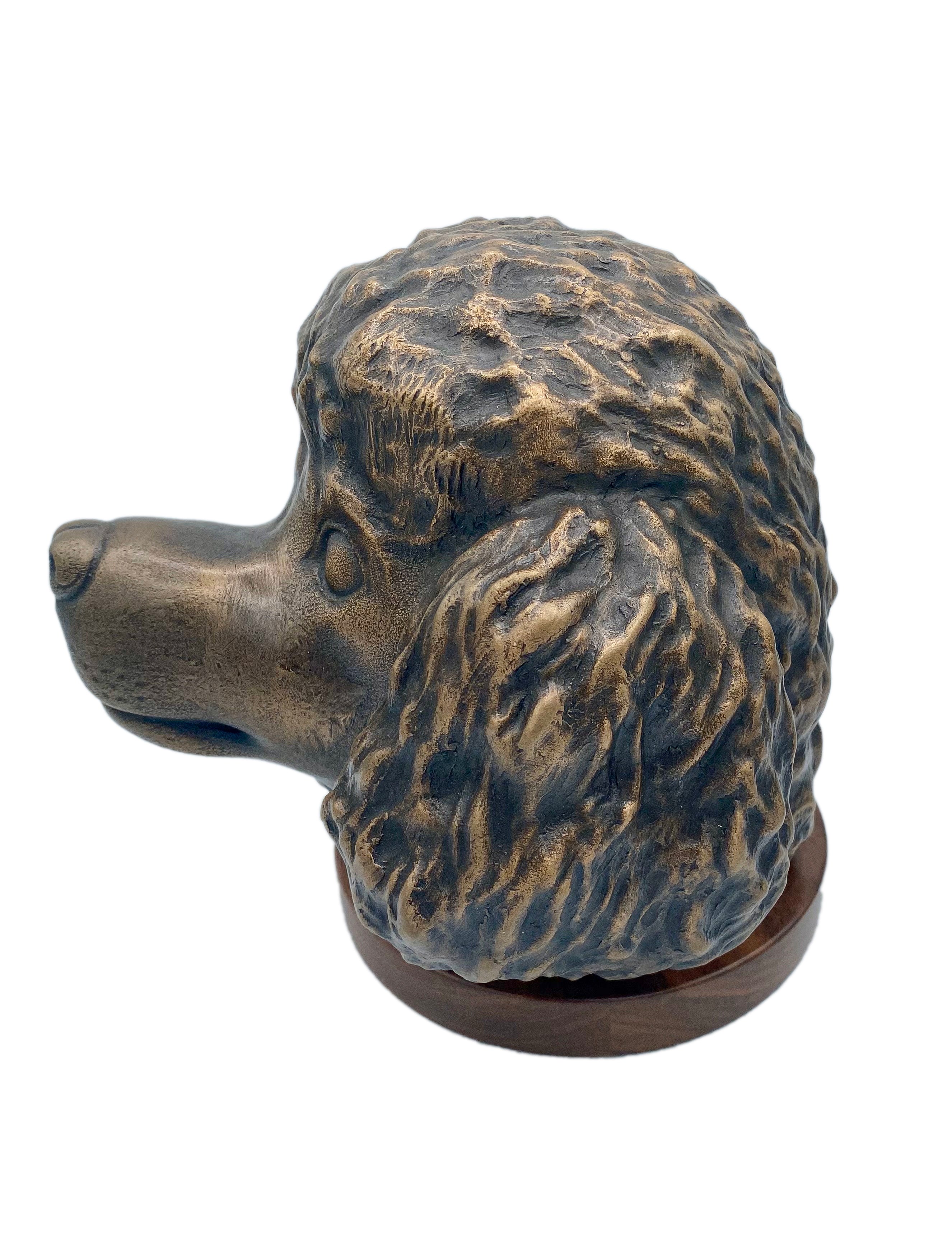 Poodle