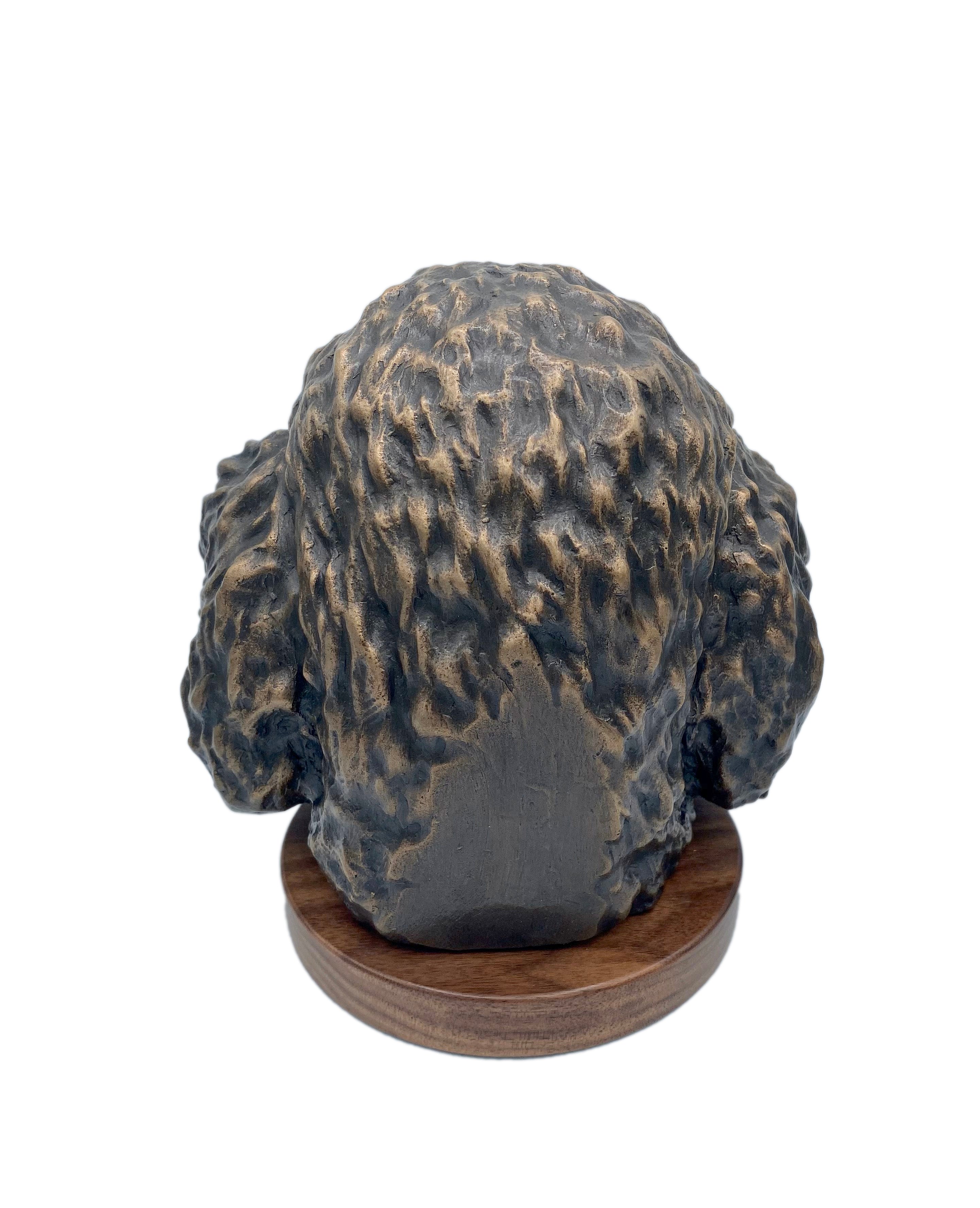 Poodle