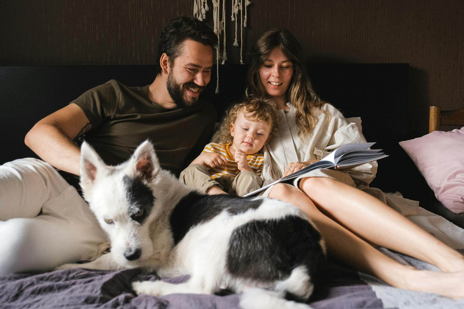 A family reading a book together with their dog